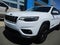 2019 Jeep Cherokee Altitude 4x4