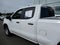 2023 Chevrolet Silverado 1500 Work Truck